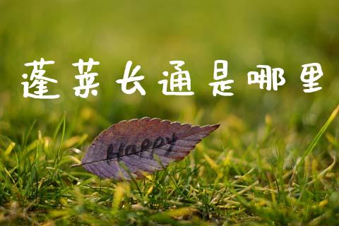 蓬莱长通是哪里_https://www.fansifence.com_国际期货行情_第1张