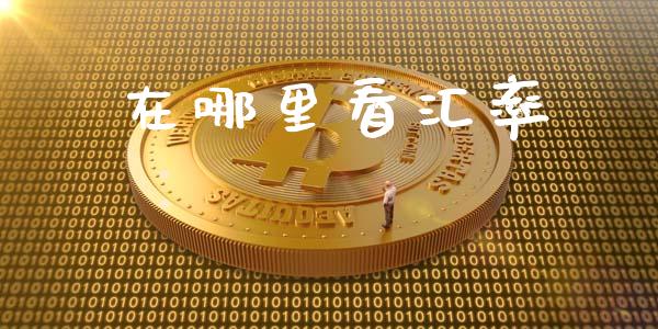 在哪里看汇率_https://www.fansifence.com_中国国际期货_第1张