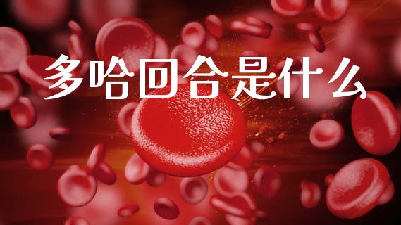 多哈回合是什么_https://www.fansifence.com_中国国际期货_第1张