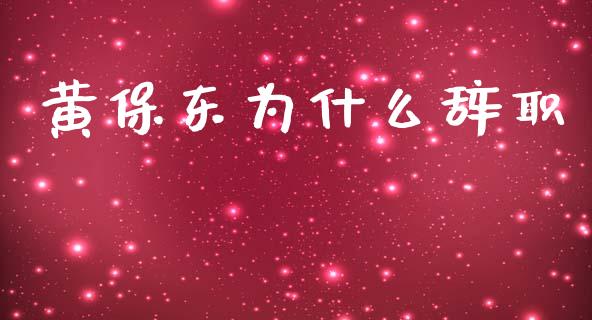 黄保东为什么辞职_https://www.fansifence.com_国际期货_第1张