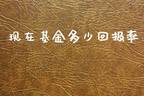 现在基金多少回报率_https://www.fansifence.com_中国国际期货_第1张