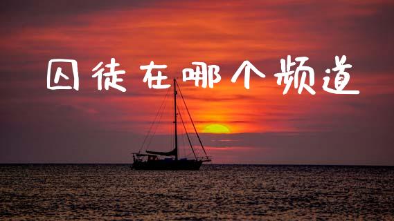 囚徒在哪个频道_https://www.fansifence.com_恒指交易时间_第1张