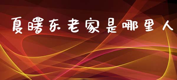 夏曙东老家是哪里人_https://www.fansifence.com_中国国际期货_第1张