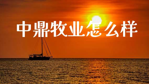 中鼎牧业怎么样_https://www.fansifence.com_中国国际期货_第1张