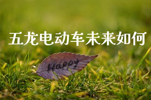 五龙电动车未来如何_https://www.fansifence.com_国际期货_第1张