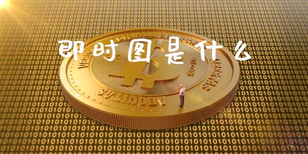 即时图是什么_https://www.fansifence.com_中国国际期货_第1张