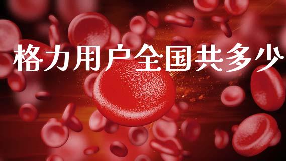 格力用户全国共多少_https://www.fansifence.com_恒指交易时间_第1张