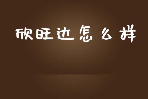 欣旺达怎么样_https://www.fansifence.com_国际期货_第1张