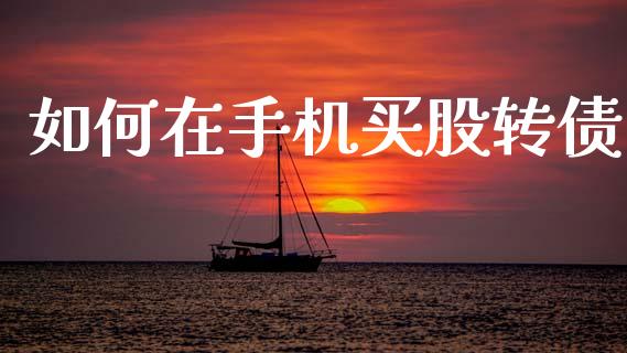 如何在手机买股转债_https://www.fansifence.com_国际期货_第1张