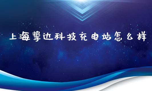 上海挚达科技充电站怎么样_https://www.fansifence.com_中国国际期货_第1张