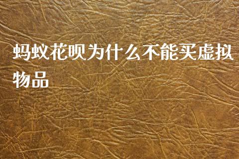 蚂蚁花呗为什么不能买虚拟物品_https://www.fansifence.com_国际期货行情_第1张