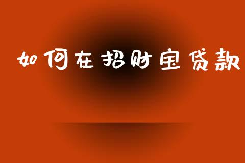 如何在招财宝贷款_https://www.fansifence.com_恒指交易时间_第1张