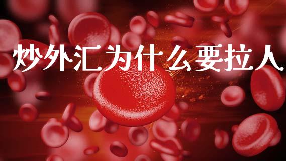 炒外汇为什么要拉人_https://www.fansifence.com_国际期货_第1张