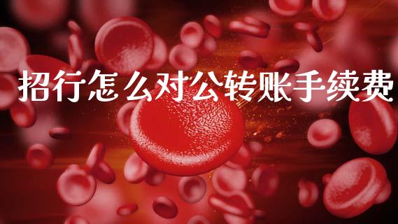 招行怎么对公转账手续费_https://www.fansifence.com_恒指交易时间_第1张
