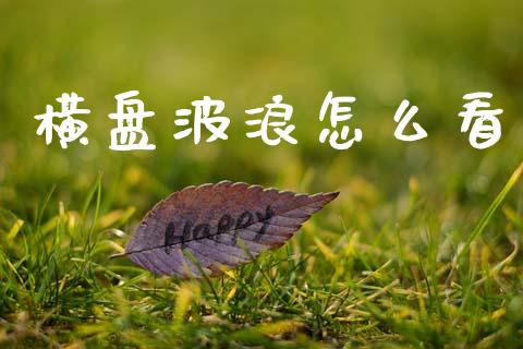 横盘波浪怎么看_https://www.fansifence.com_恒指交易时间_第1张