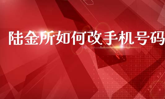 陆金所如何改手机号码_https://www.fansifence.com_恒指交易时间_第1张