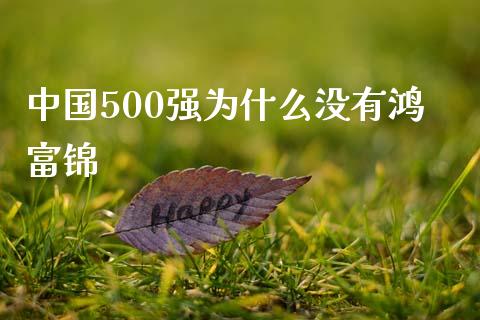 中国500强为什么没有鸿富锦_https://www.fansifence.com_国际期货行情_第1张