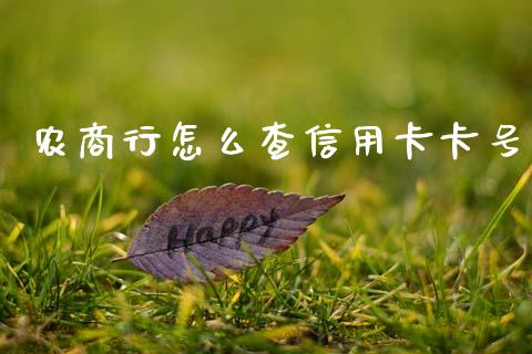 农商行怎么查信用卡卡号_https://www.fansifence.com_恒指交易时间_第1张