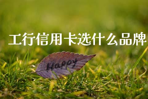 工行信用卡选什么品牌_https://www.fansifence.com_中国国际期货_第1张