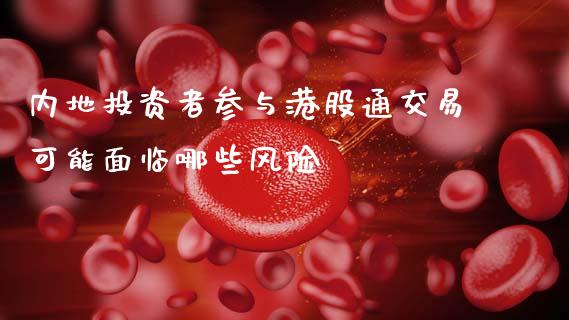 内地投资者参与港股通交易可能面临哪些风险_https://www.fansifence.com_恒指交易时间_第1张