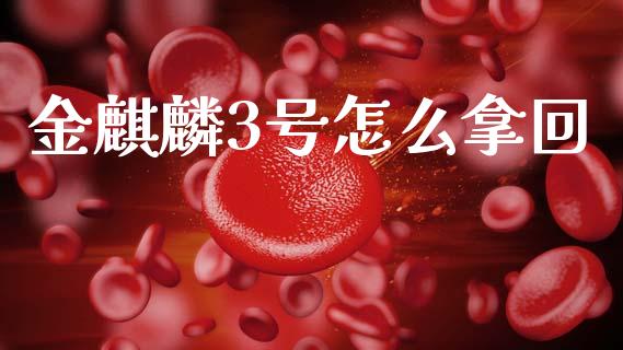 金麒麟3号怎么拿回_https://www.fansifence.com_中国国际期货_第1张