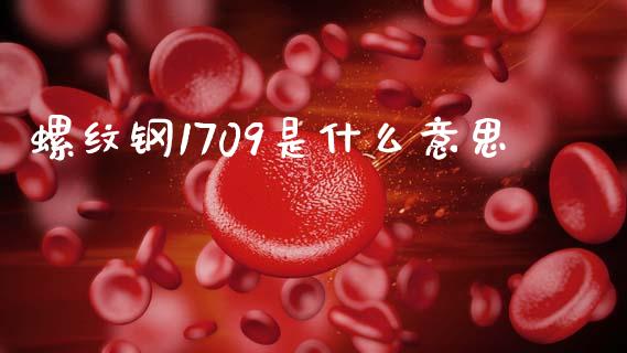 螺纹钢1709是什么意思_https://www.fansifence.com_国际期货行情_第1张