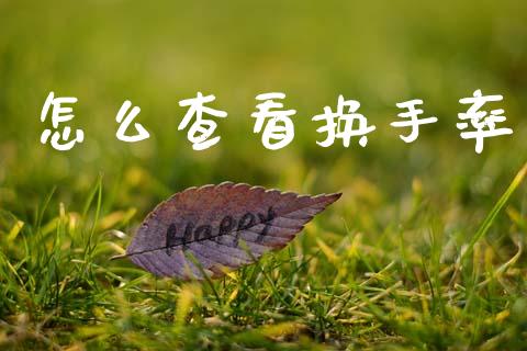 怎么查看换手率_https://www.fansifence.com_恒指交易时间_第1张
