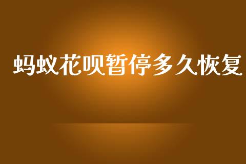 蚂蚁花呗暂停多久恢复_https://www.fansifence.com_国际期货_第1张