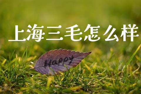 上海三毛怎么样_https://www.fansifence.com_中国国际期货_第1张