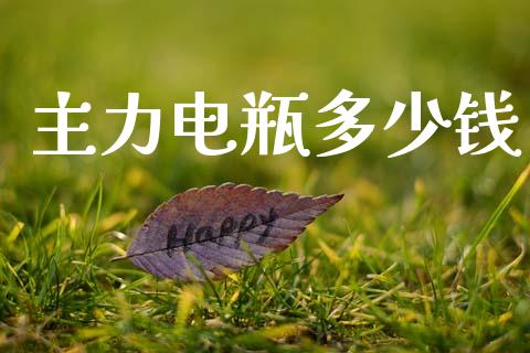 主力电瓶多少钱_https://www.fansifence.com_国际期货_第1张