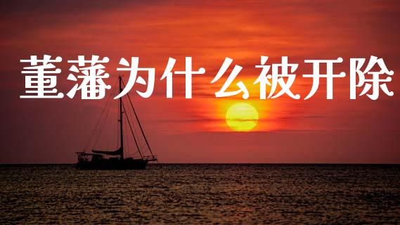 董藩为什么被开除_https://www.fansifence.com_国际期货行情_第1张