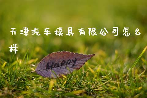 天津汽车模具有限公司怎么样_https://www.fansifence.com_国际期货_第1张