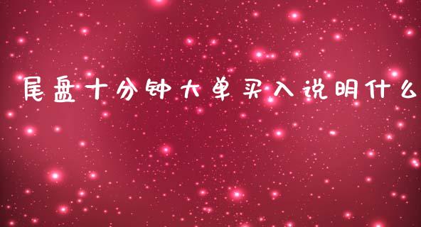尾盘十分钟大单买入说明什么_https://www.fansifence.com_恒指交易时间_第1张