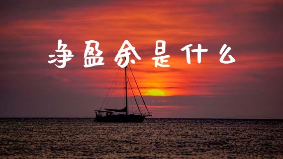 净盈余是什么_https://www.fansifence.com_国际期货行情_第1张