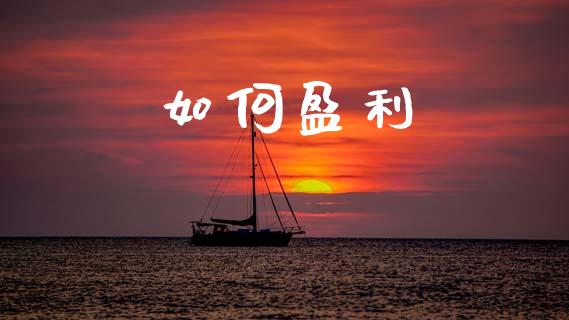 如何盈利_https://www.fansifence.com_国际期货行情_第1张