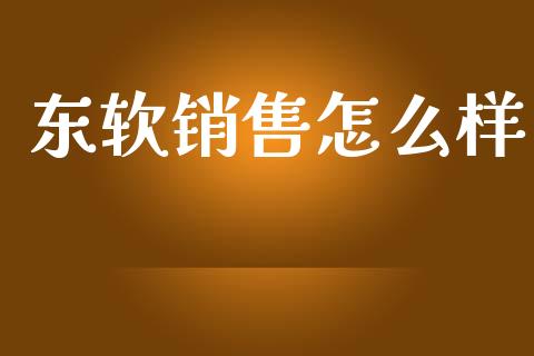 东软销售怎么样_https://www.fansifence.com_国际期货行情_第1张