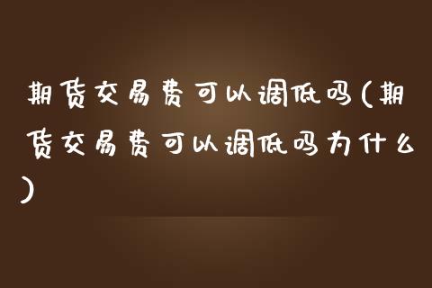 期货交易费可以调低吗(期货交易费可以调低吗为什么)_https://www.fansifence.com_中国国际期货_第1张