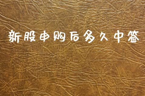 新股申购后多久中签_https://www.fansifence.com_恒指交易时间_第1张