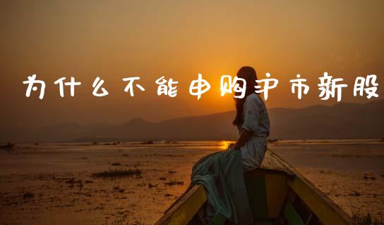 为什么不能申购沪市新股_https://www.fansifence.com_恒指交易时间_第1张