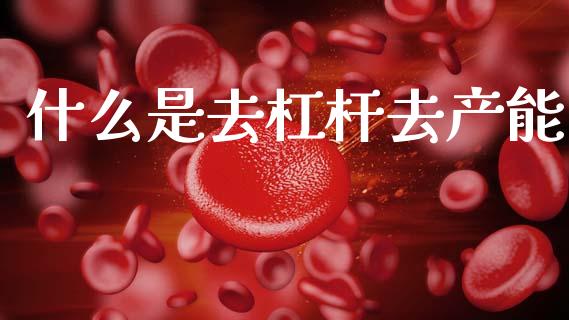 什么是去杠杆去产能_https://www.fansifence.com_恒指交易时间_第1张