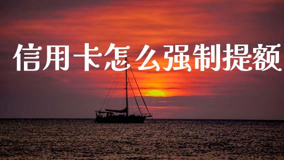 信用卡怎么强制提额_https://www.fansifence.com_国际期货_第1张