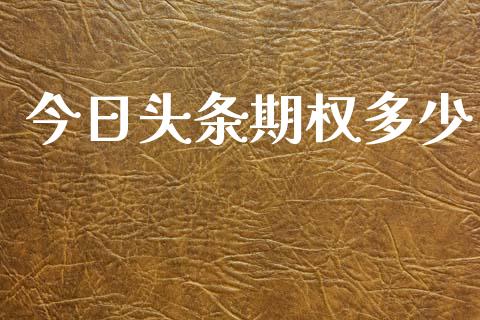 今日头条期权多少_https://www.fansifence.com_国际期货行情_第1张