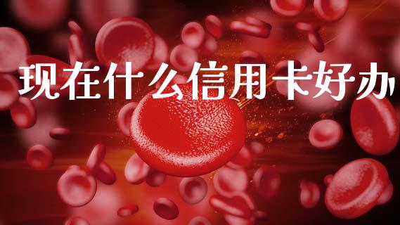 现在什么信用卡好办_https://www.fansifence.com_中国国际期货_第1张