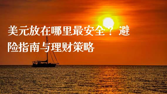 美元放在哪里最安全？ 避险指南与理财策略_https://www.fansifence.com_国际期货行情_第1张