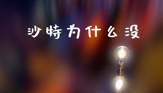 沙特为什么没_https://www.fansifence.com_国际期货行情_第1张