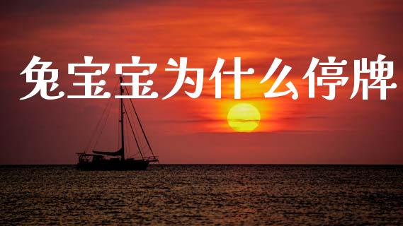 兔宝宝为什么停牌_https://www.fansifence.com_国际期货_第1张