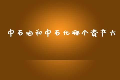 中石油和中石化哪个资产大_https://www.fansifence.com_中国国际期货_第1张