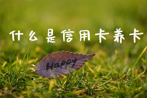 什么是信用卡养卡_https://www.fansifence.com_中国国际期货_第1张