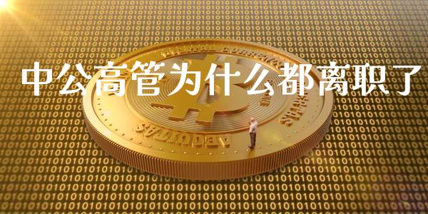 中公高管为什么都离职了_https://www.fansifence.com_国际期货_第1张