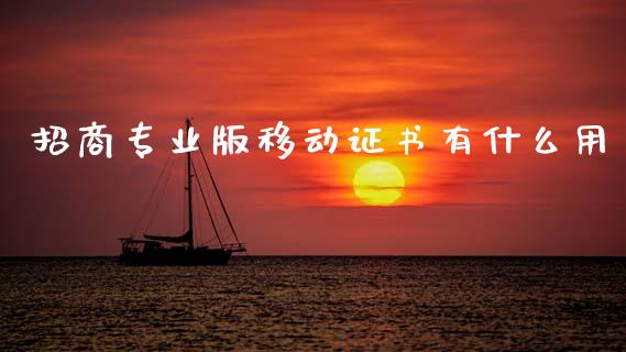 招商专业版移动证书有什么用_https://www.fansifence.com_中国国际期货_第1张